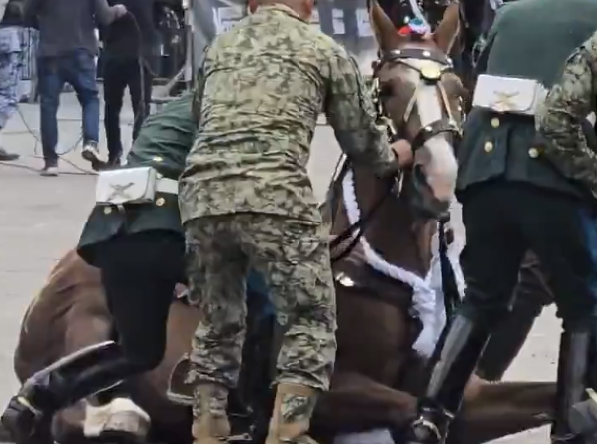 Presagio a Caballada Sedena